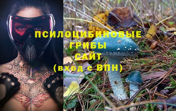 ALPHA PVP Бежецк