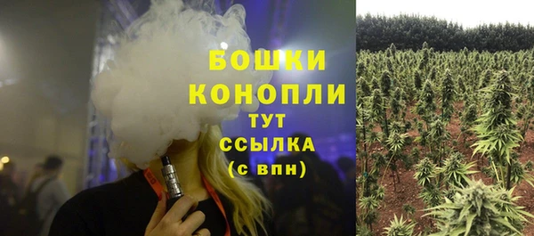 ALPHA PVP Бежецк