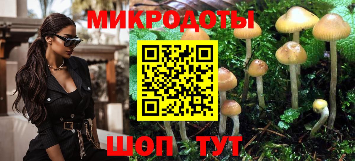 Галлюциногенные грибы мухоморы Карталы